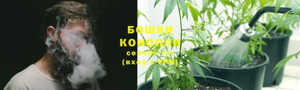 амф Верхний Тагил