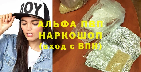 амф Верхний Тагил