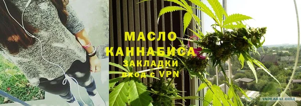 амф Верхний Тагил