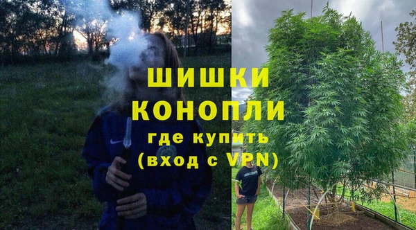 амф Верхний Тагил
