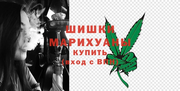 амф Верхний Тагил