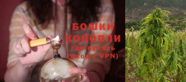 амф Верхний Тагил