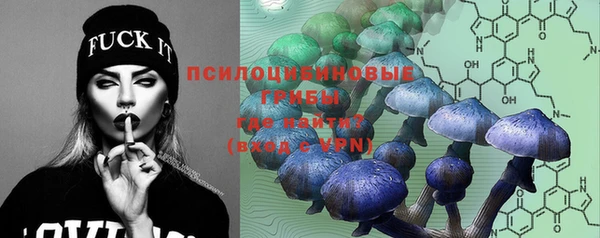 амф Верхний Тагил