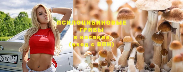 амф Верхний Тагил