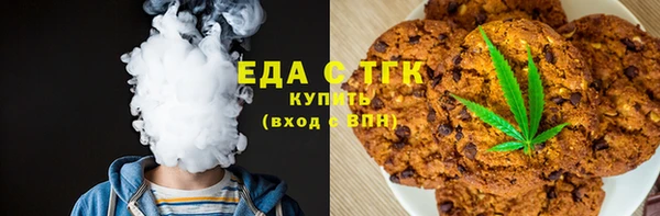 амф Верхний Тагил